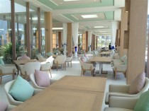 Dinning Tables & Dinning Chairs